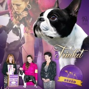 Meet your Posher, Laurie